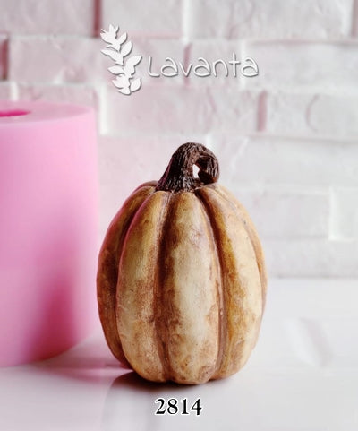 Büyük Yuvarlak Bal Kabağı Silikon Kalıbı