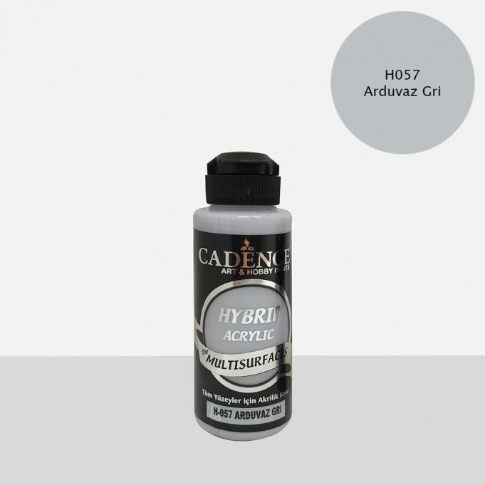 H057 Arduvaz Gri - Multisurfaces 120ML