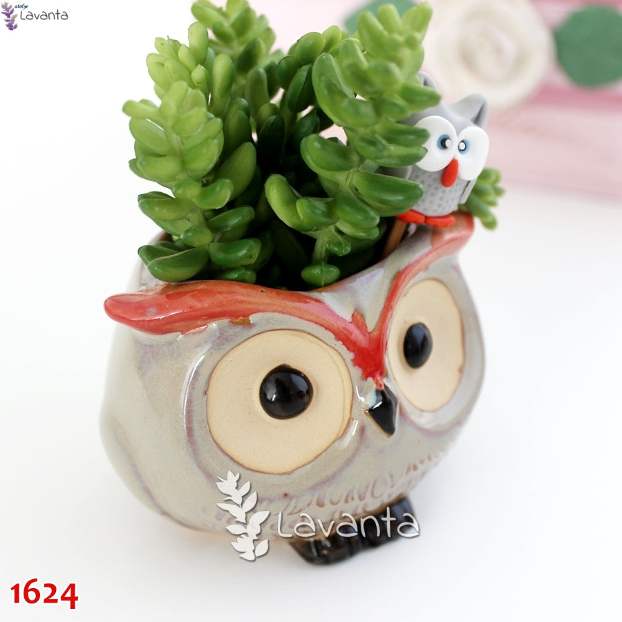 Baykuş Sukulent Saksı Silikon Kalıbı