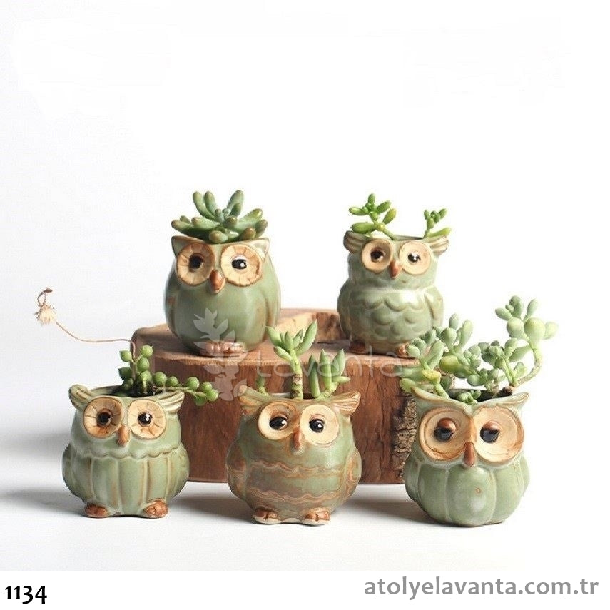 Beşli Baykuş Saksı Seti Silikon Kalıbı