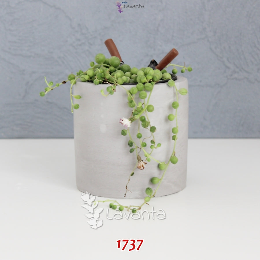 Büyük Boy Silindir Beton Saksı Silikon Kalıbı