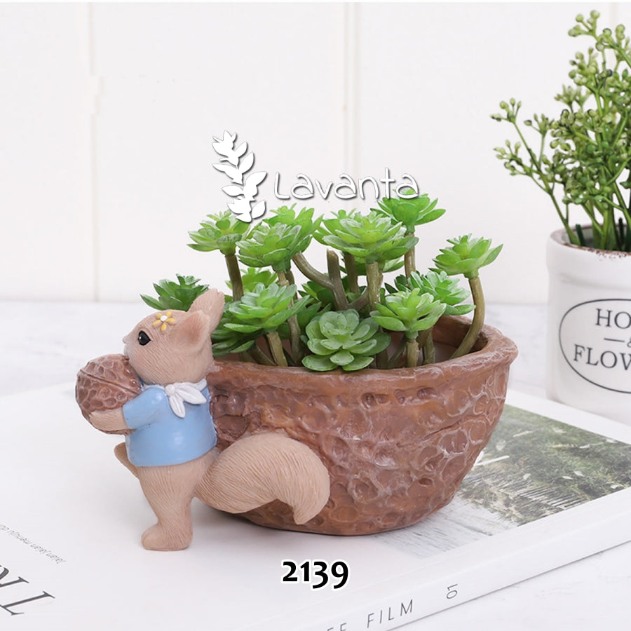 Cevizli Sincap Sukulent Saksı Kalıbı