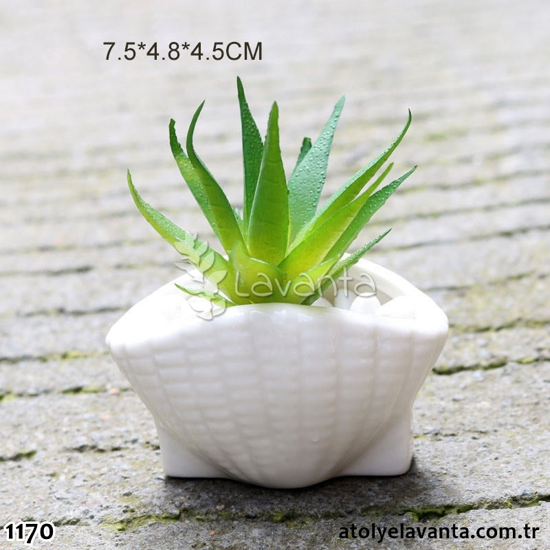 Deniz Kabuğu Sukulent Saksı Silikon Kalıbı