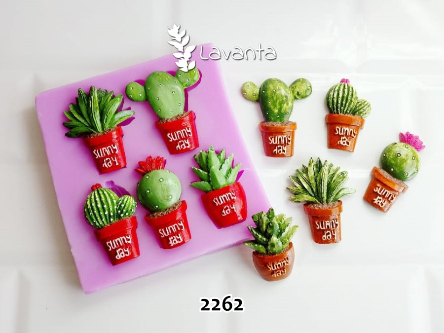 Güneşli Gün Kaktüsleri Silikon Kalıbı
