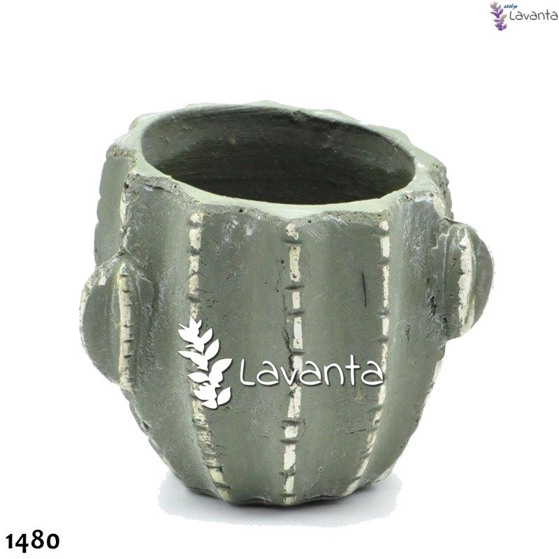 Kaktüs Beton Saksı Silikon Kalıbı