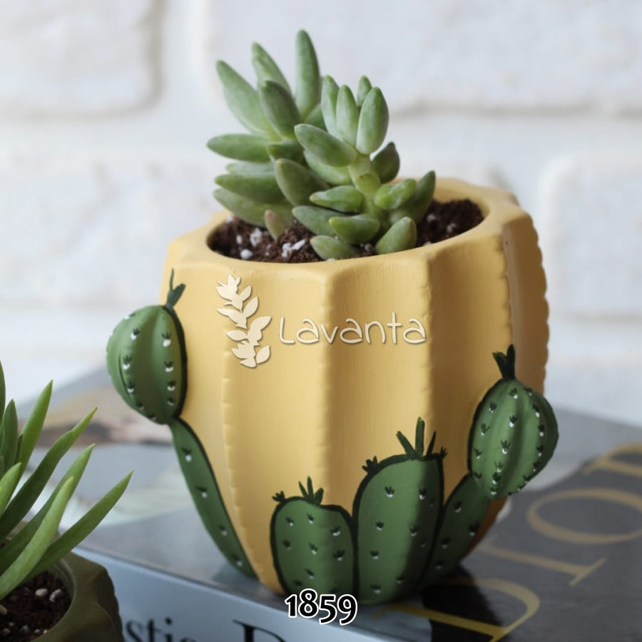 Uzun Kaktüs Saksı Silikon Kalıbı