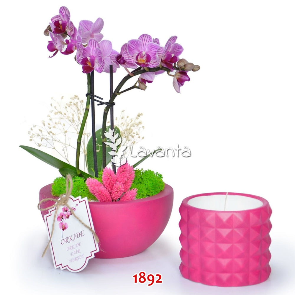 Kase ve Prizma Silindir Saksı Silikon Kalıpları