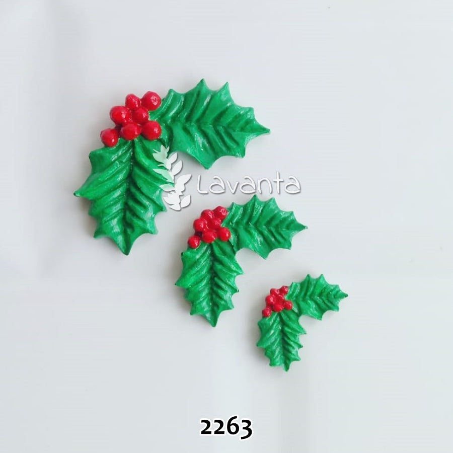 Kokina Silikon Kalıbı