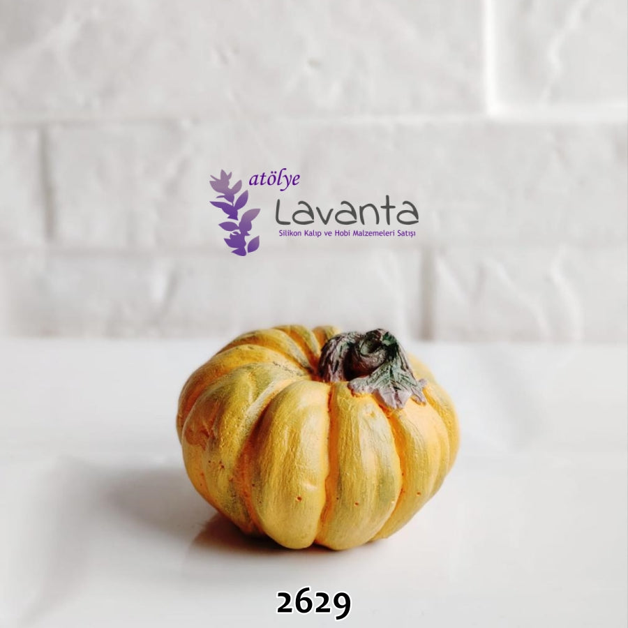 Küçük Yapraklı Balkabağı Kalıbı