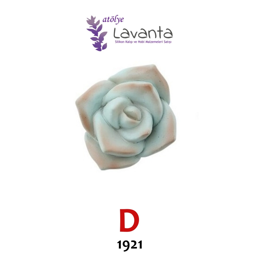 Mini Sukulent Silikon Kalıpları