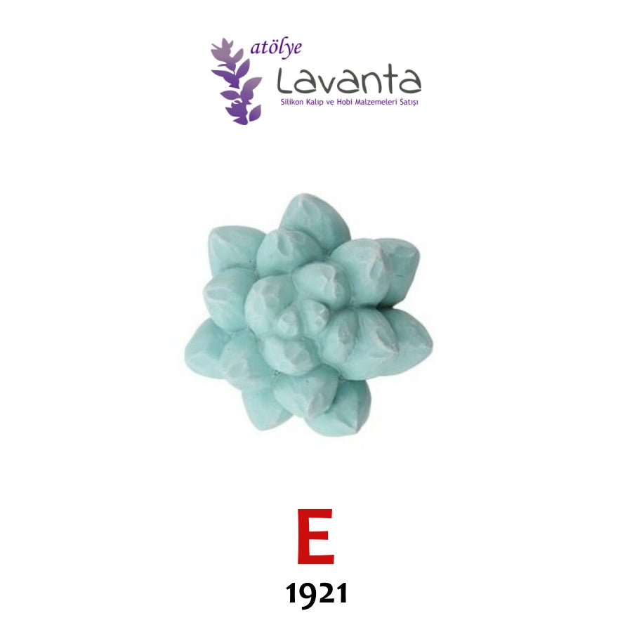 Mini Sukulent Silikon Kalıpları