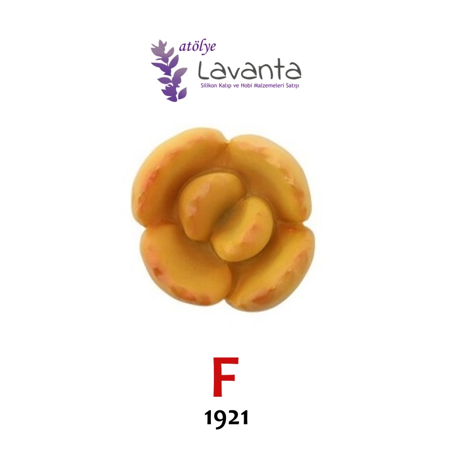 Mini Sukulent Silikon Kalıpları