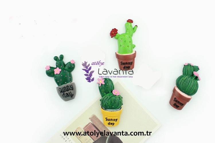 Saksıda Kaktüs Set Magnetlik Kalıbı