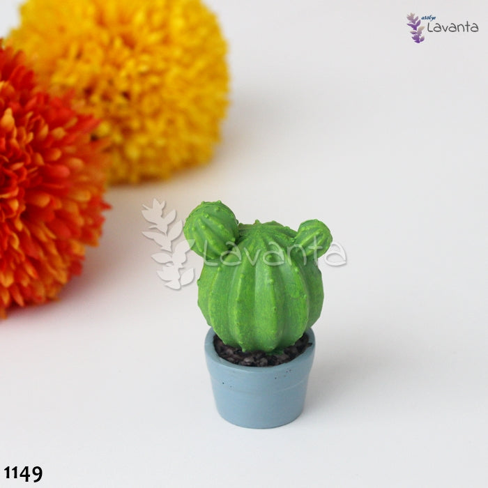 Saksıda Yavru Kaktüs Silikon Kalıbı