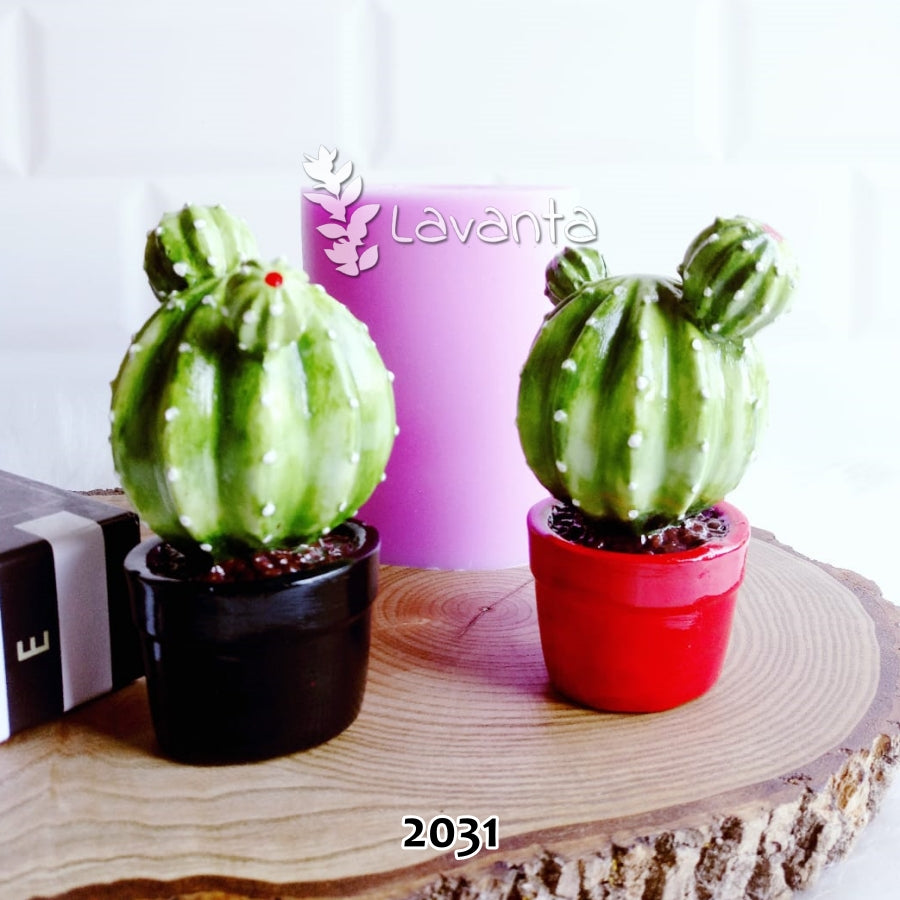 Saksılı Kaktüs Kokulu Taş Kalıbı