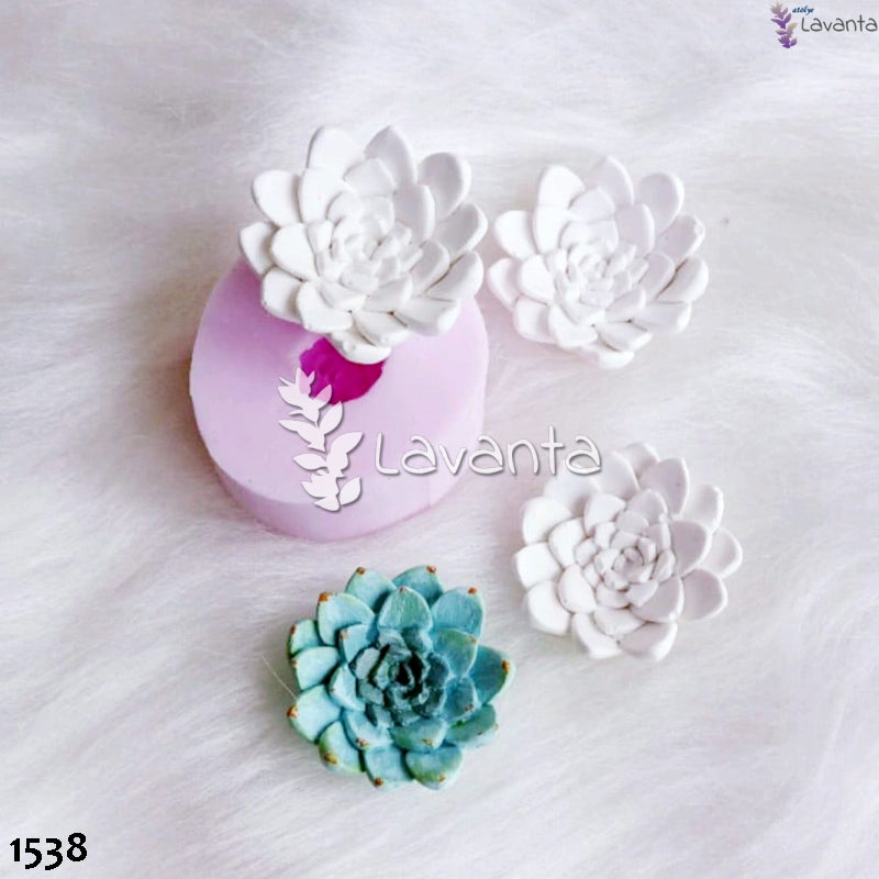 Succulent Kokulu Taş Silikon Kalıbı