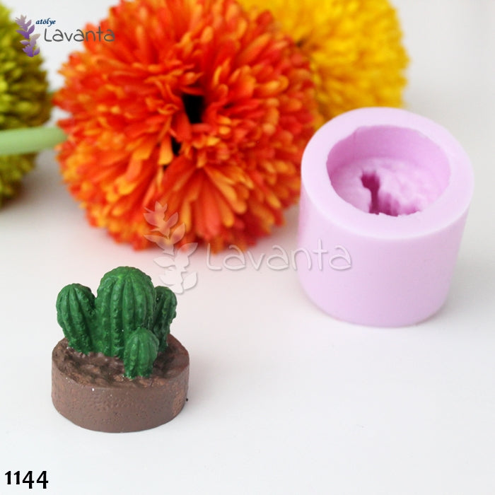 Topraklı Kaktüs Kokulu Taş Kalıbı