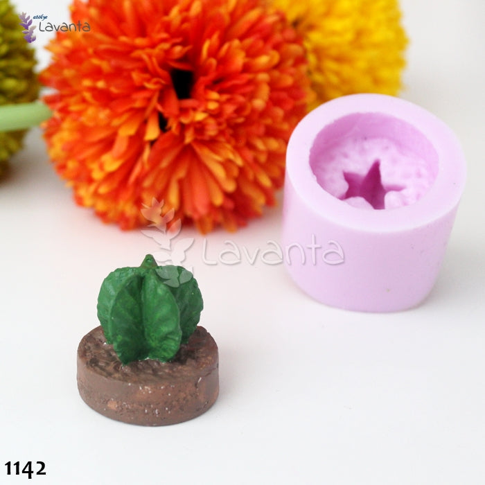 Topraklı Kaktüs Silikon Kalıbı