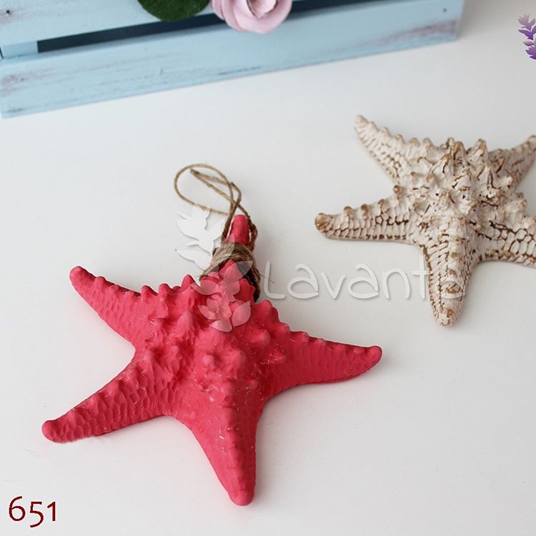 Büyük Deniz Yıldızı Silikon Kalıbı
