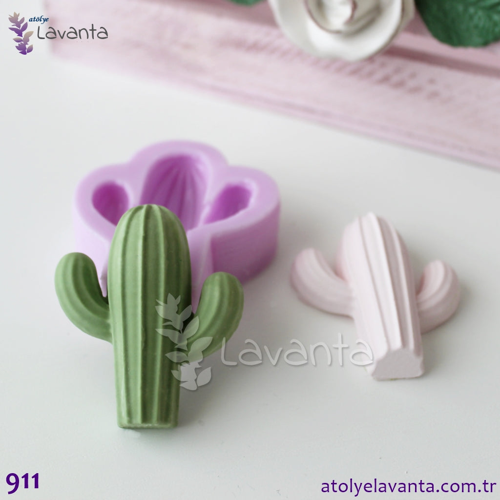 Kaktüs Kokulu Taş Kalıbı