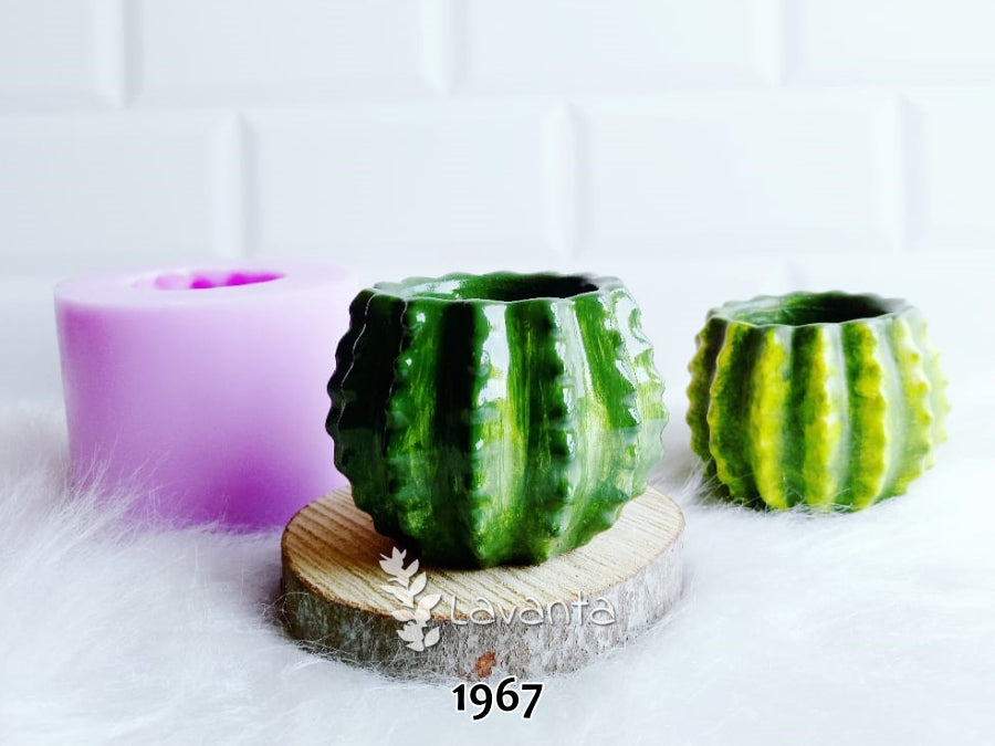 Kaktüs Saksı Kalıbı