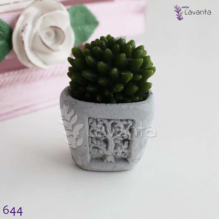 Kaktüslü Saksı Silikon Kalıbı