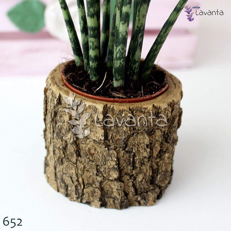 Kütük Saksı Silikon Kalıbı