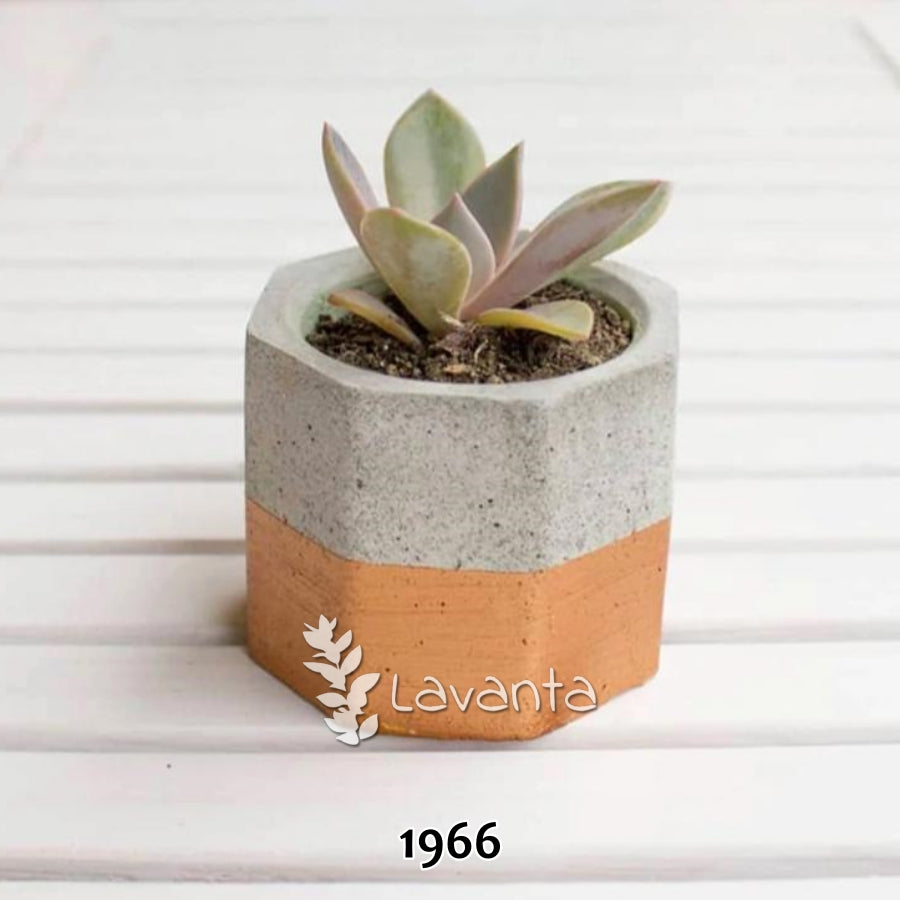 Sekizgen Mini Saksı Kalıbı