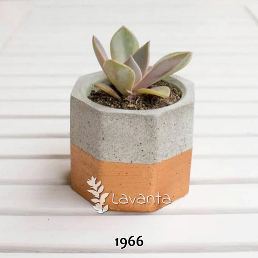 Sekizgen Mini Saksı Kalıbı