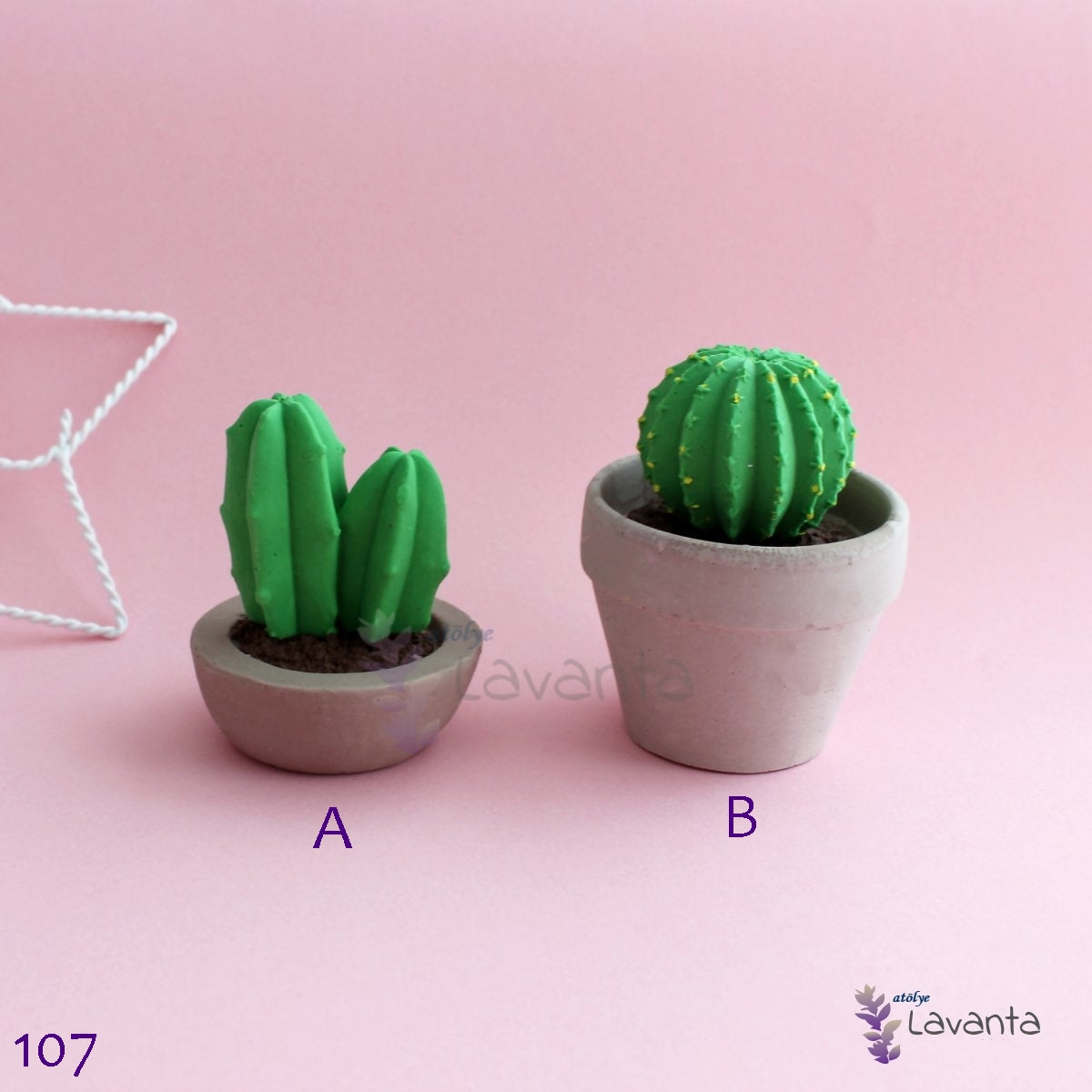 Top Kaktüs Silikon Kalıbı