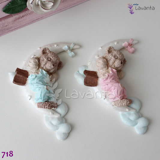 Ayda Yatan Kitaplı Ayıcık Silikon Kalıbı