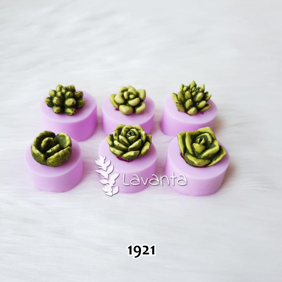 Altı Sukulent Silikon Kalıpları