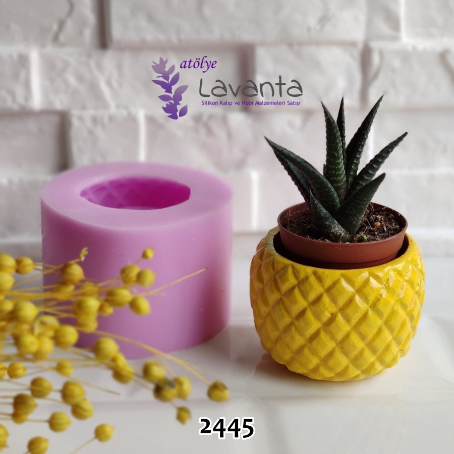 Ananas Sukulent Saksı Kalıbı