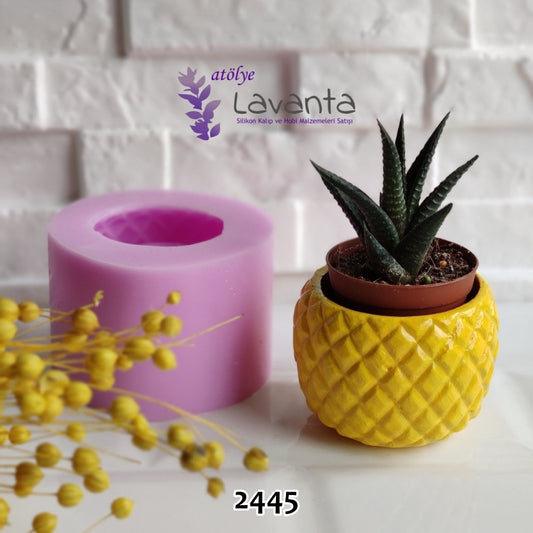 Ananas Sukulent Saksı Kalıbı