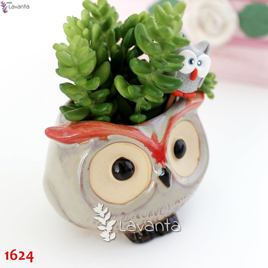 Baykuş Sukulent Saksı Silikon Kalıbı