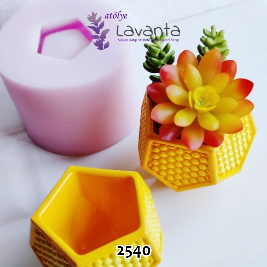 Beşgen Petek Dokulu Saksı Kalıbı