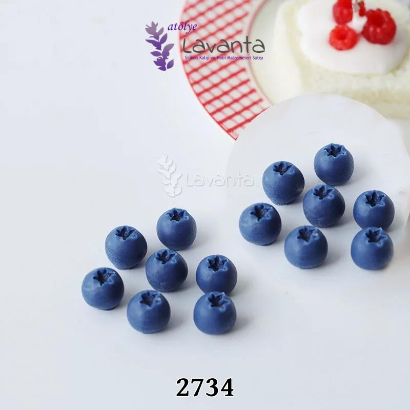 Blueberry Silikon Kalıbı