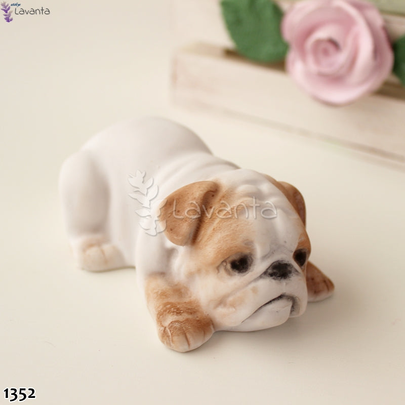 Buldog Köpek Silikon Kalıbı