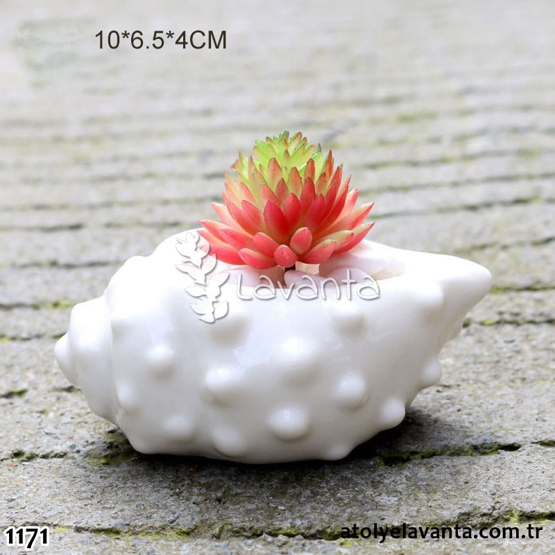 Büyük Boy Deniz Kabuğu Sukulent Saksı Silikon Kalıbı