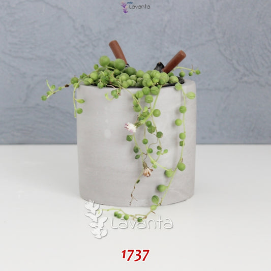 Büyük Boy Silindir Beton Saksı Silikon Kalıbı