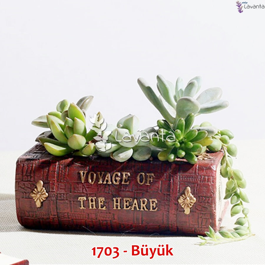 Büyük Kitap Sukulent Saksı Kalıbı