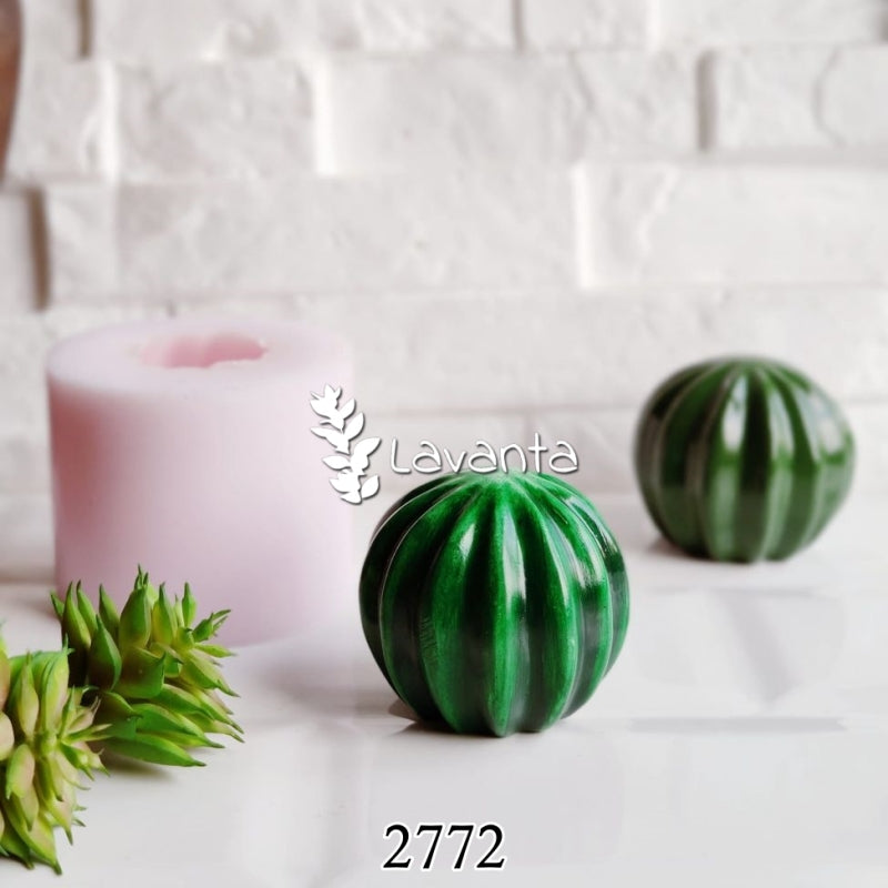 Yuvarlak Kaktüs Kalıbı