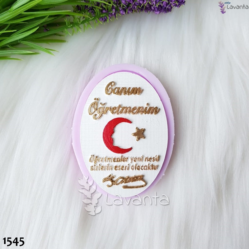 Oval Canım Öğretmenim Bayraklı Etiketi Kokulu Taş Kalıbı