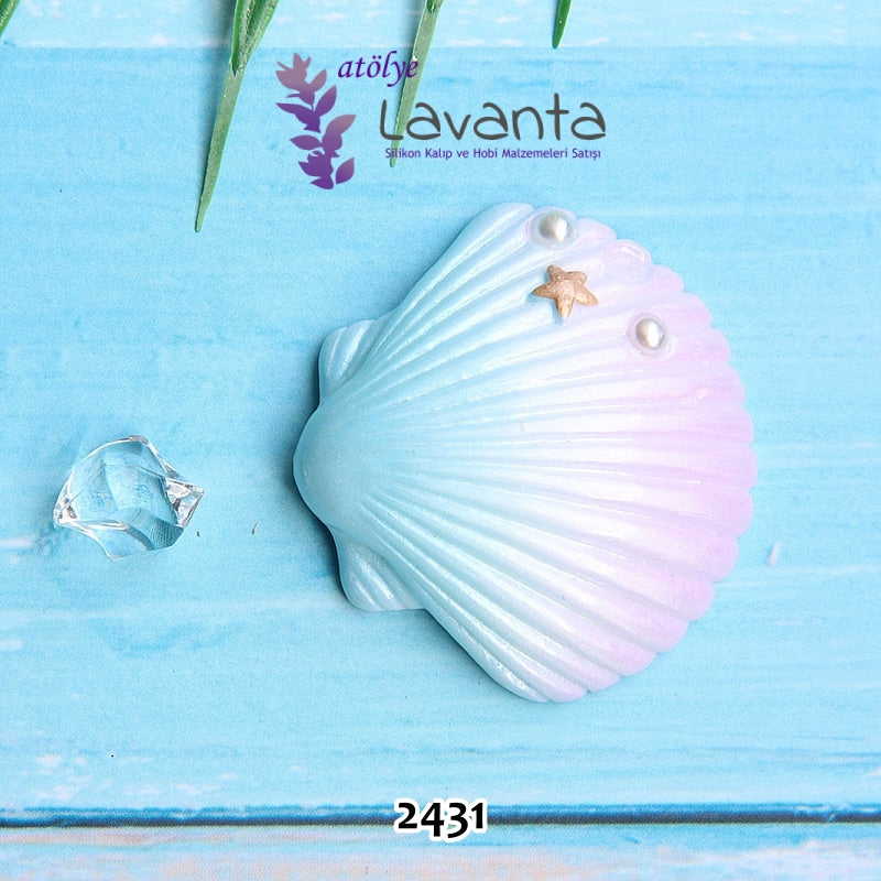 Deniz Kabuğu Kalıbı