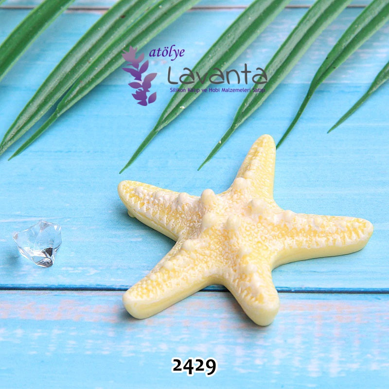 Deniz Yıldızı Kalıbı