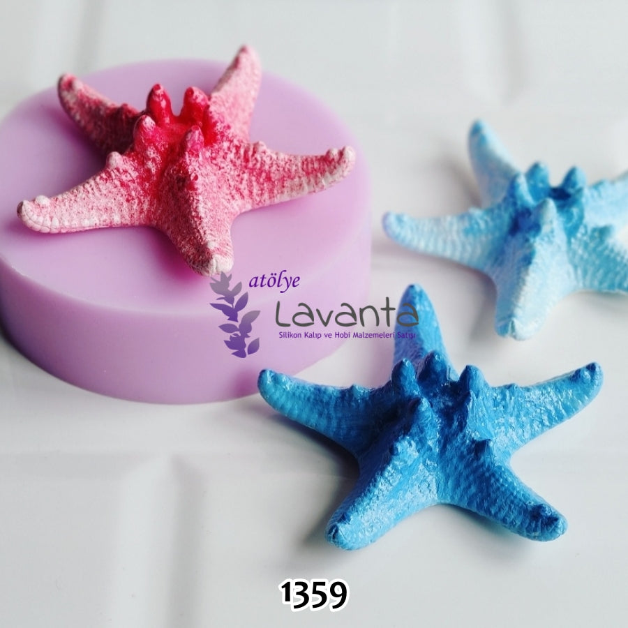 Deniz Yıldızı Silikon Kalıbı