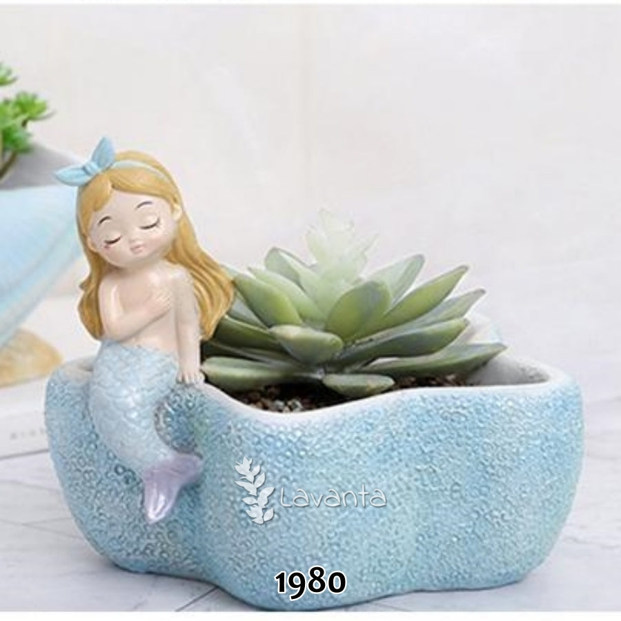 Denizi Kızı Yıldız Sukulent Saksı Kalıbı