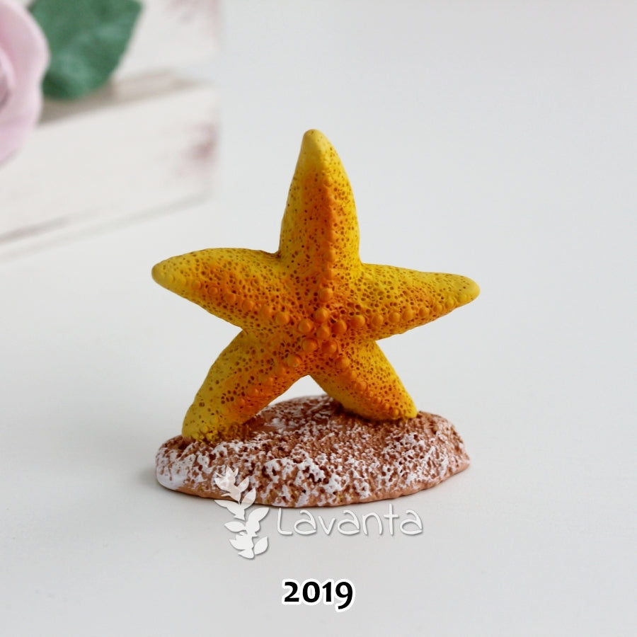 Dik Duran Deniz Yıldızı Kalıbı