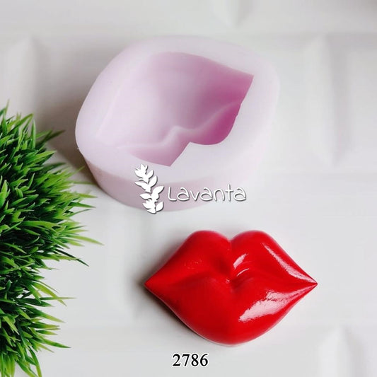 Dudak Silikon Kalıbı