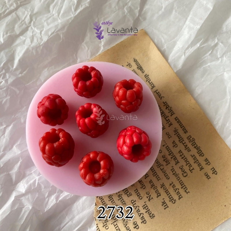 Frambuaz Silikon Kalıbı